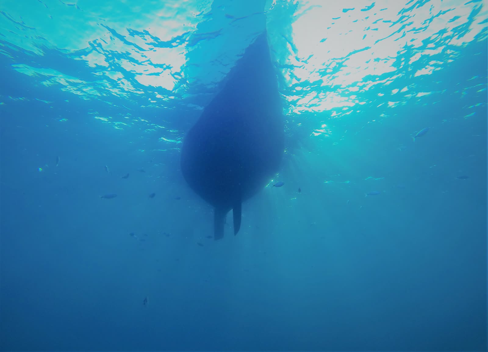 El casco del velero visto desde el agua en un tour en Ibiza